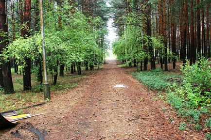 Abandonată prietenie cu tabăra de pionieri