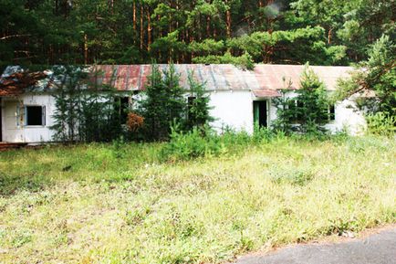 Prietenia abandonată a taberei de pionieri