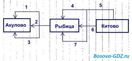 Завдання до глави 13 «схеми» (відповіді)