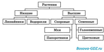 Завдання до глави 13 «схеми» (відповіді)