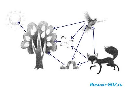 Завдання до глави 13 «схеми» (відповіді)