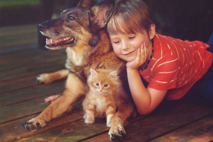 Тварини, які можуть нас врятувати як собаки і кішки лікують хвороби