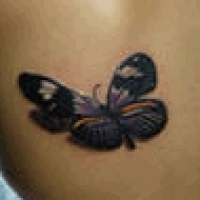 Înțeles tattoo butterfly