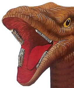 Dinți de dinozauri, enciclopedici