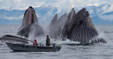 20 Кращих знімків жовтня від national geographic