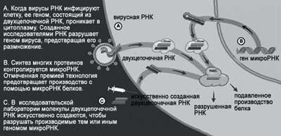 Альфред нобель і нобелівська премія, інтернет-видання - новини медицини і фармації