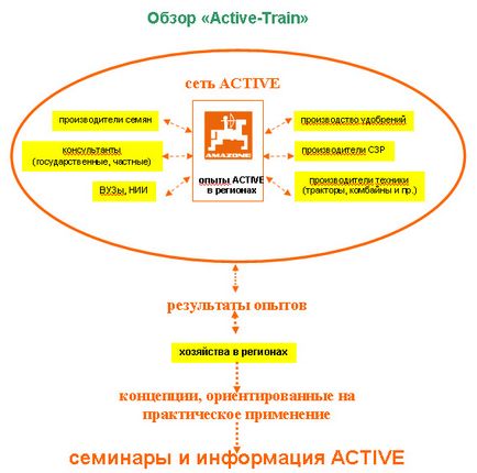 Amazone active - ce înseamnă tehnica Amazon