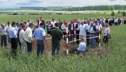 Amazone active - ce înseamnă tehnica Amazon