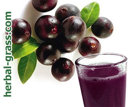Asai (fructe de pădure, suc) - proprietăți utile și medicinale