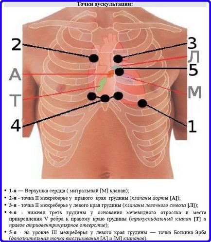 Auscultarea inimii - pătuțuri pentru ambulanță