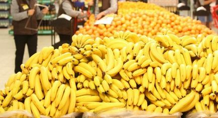 Banana - egy leírást képekkel; előnyei és hátrányai; növekvő otthon