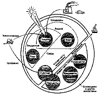 Biosfera ca ecosistem global - conceptul de ecosistem