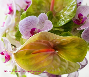 Buchet de mireasa din flori de cameră - ce plante pot fi folosite în buchet