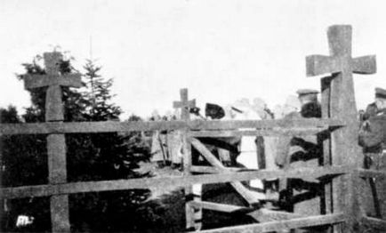 Царскосельское братське кладовище героїв Першої світової війни