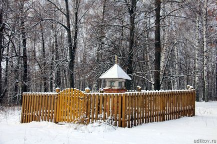 Церква святого гурія, петьяли, Марій Ел - фотографії, гіпертаблоід редактора удікова