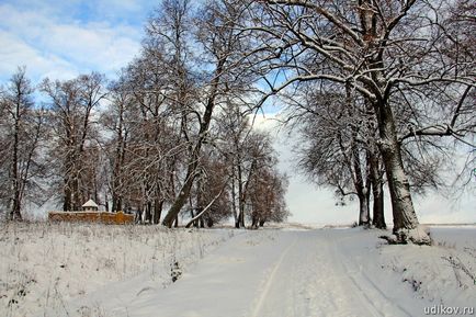 Церква святого гурія, петьяли, Марій Ел - фотографії, гіпертаблоід редактора удікова