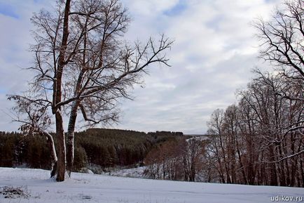 Церква святого гурія, петьяли, Марій Ел - фотографії, гіпертаблоід редактора удікова