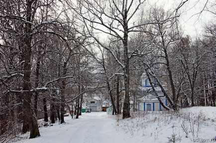 Церква святого гурія, петьяли, Марій Ел - фотографії, гіпертаблоід редактора удікова