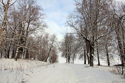 Церква святого гурія, петьяли, Марій Ел - фотографії, гіпертаблоід редактора удікова