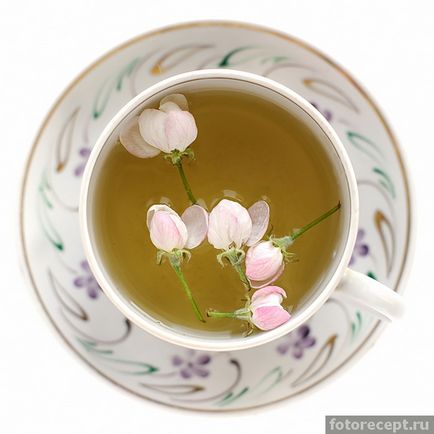 Чай з квітів яблуні, прості рецепти