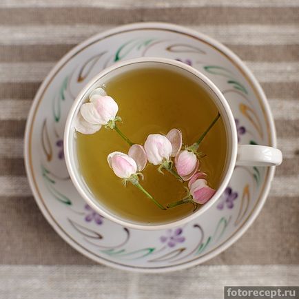 Чай з квітів яблуні, прості рецепти