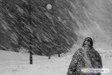 Care este diferența dintre viscol și viscol