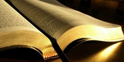 Чому маркетолога вчить біблія маркетинг бізнес і кар'єра