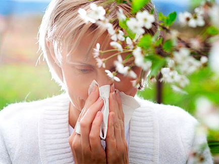 O succesiune de rețete de alergie, cure și contraindicații