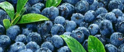 Blueberry slăbește sau întărește stomacul