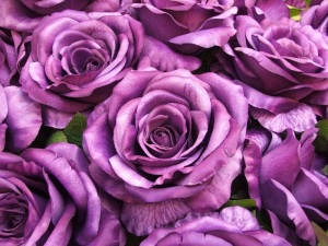 Mit jelent a lila szín a pszichológiában