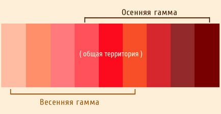 Tipurile de culori ale aspectului îmi pot schimba tipul de culoare, tipurile de culoare ale aspectului - primavara, vara, toamna, iarna