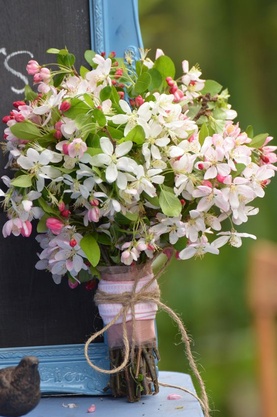 Pomi fructiferi la nunta - floristica in detaliu