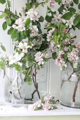 Pomi fructiferi la nunta - floristica in detaliu