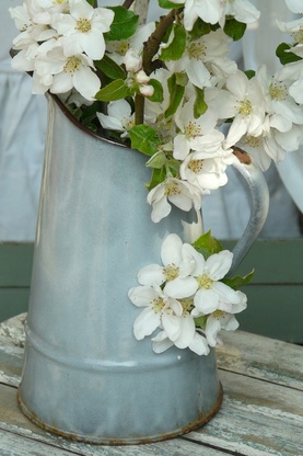 Pomi fructiferi la nunta - floristica in detaliu