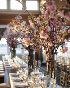 Квітучі дерева на весіллі - флористика в деталях