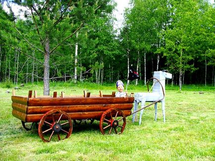 Декоративна віз в саду