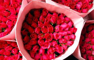 Ziua Îndrăgostiților - Ziua Îndrăgostiților 14 februarie Cadouri de Valentine's Day