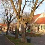 Деревени в околицях Праги