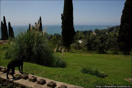 Zece zile în paradis sau autostopul în Abhazia