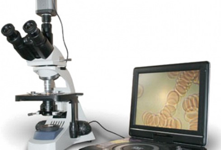 Diagnosticul unui organism - distribuitor de corali, club de corali