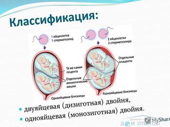 Dizygotic gemeni - răspunsuri și sfaturi cu privire la întrebările dumneavoastră domotvetov răspunsuri la dumneavoastră