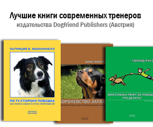 Документи для ввезення та вивезення домашніх тварин, світ собак