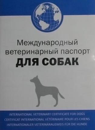 Documente pentru câine