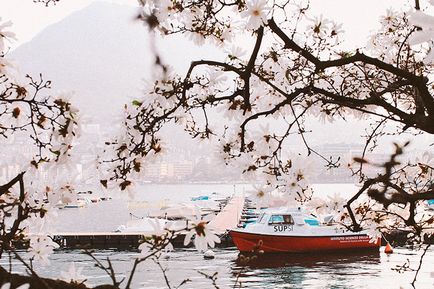 Do like locals lugano, switzerland - simple beyond