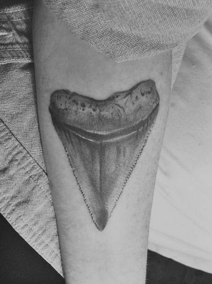 Fotografie și semnificația tattoo shark tooth