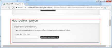 Frigate для google chrome розумний анонимайзер!