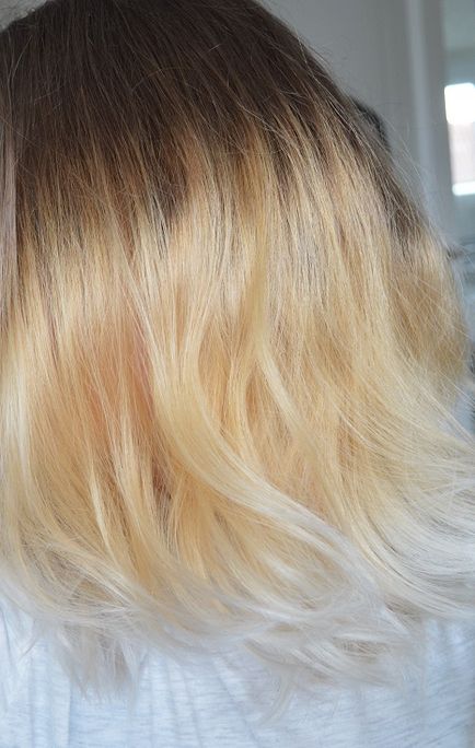 Garnier nutrisse truly blond d