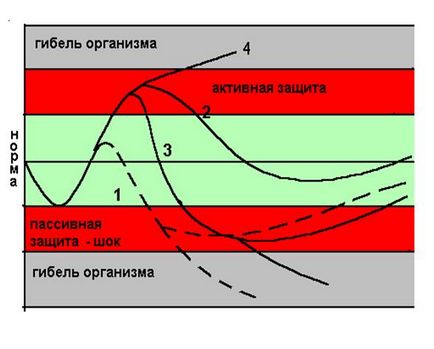 Геморагічний шок - медицина, здоров'я