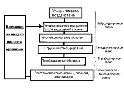 Геморагічний шок - медицина, здоров'я