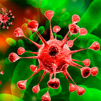 Herpesul de tip 4 (epstein-barra) cum se determină și ce fel de virus este